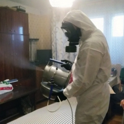 Дезинфекция от клопов в Химках