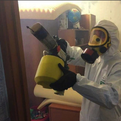 Уничтожение клопов в квартире. Химки